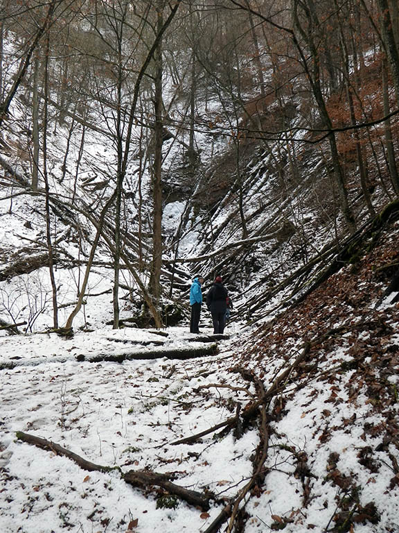 Winterwanderung KHV Feb 2012