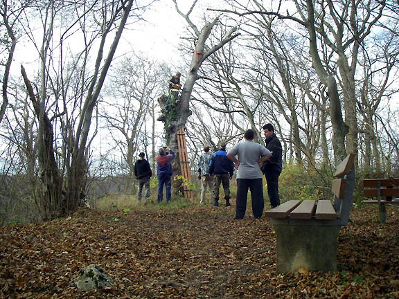 Arbeitseinsatz Kahlenstein Nov 2010