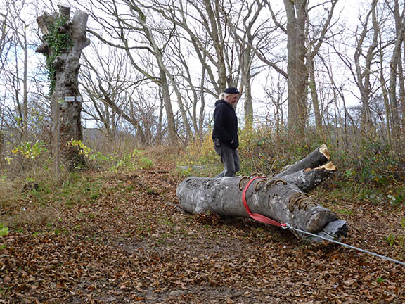 Arbeitseinsatz Kahlenstein Nov 2010