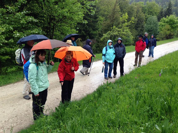 Maiwanderung 2013