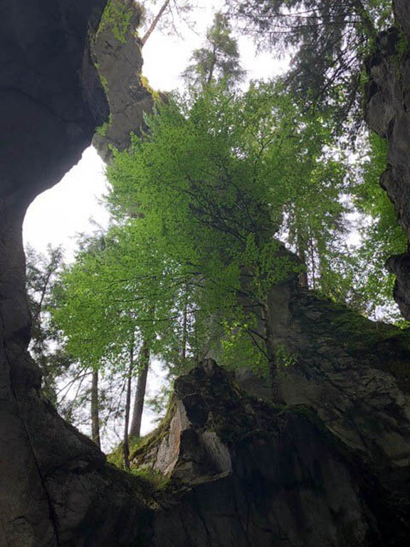 Rappenlochschlucht