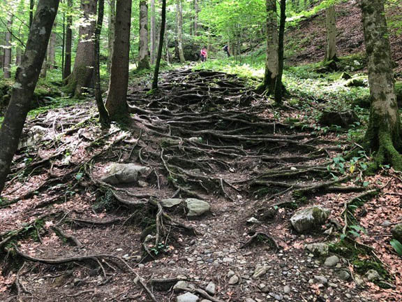 Rappenlochschlucht